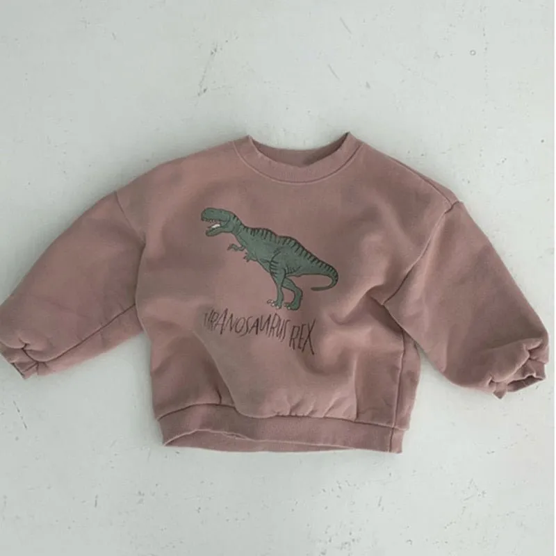 Cotton Dinosaur Round Neck Sweatshirt