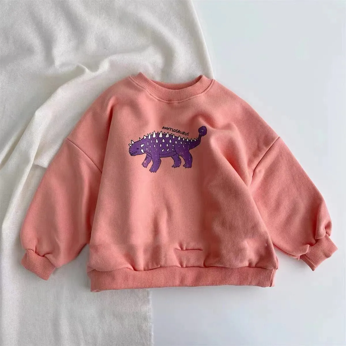 Cotton Dinosaur Round Neck Sweatshirt