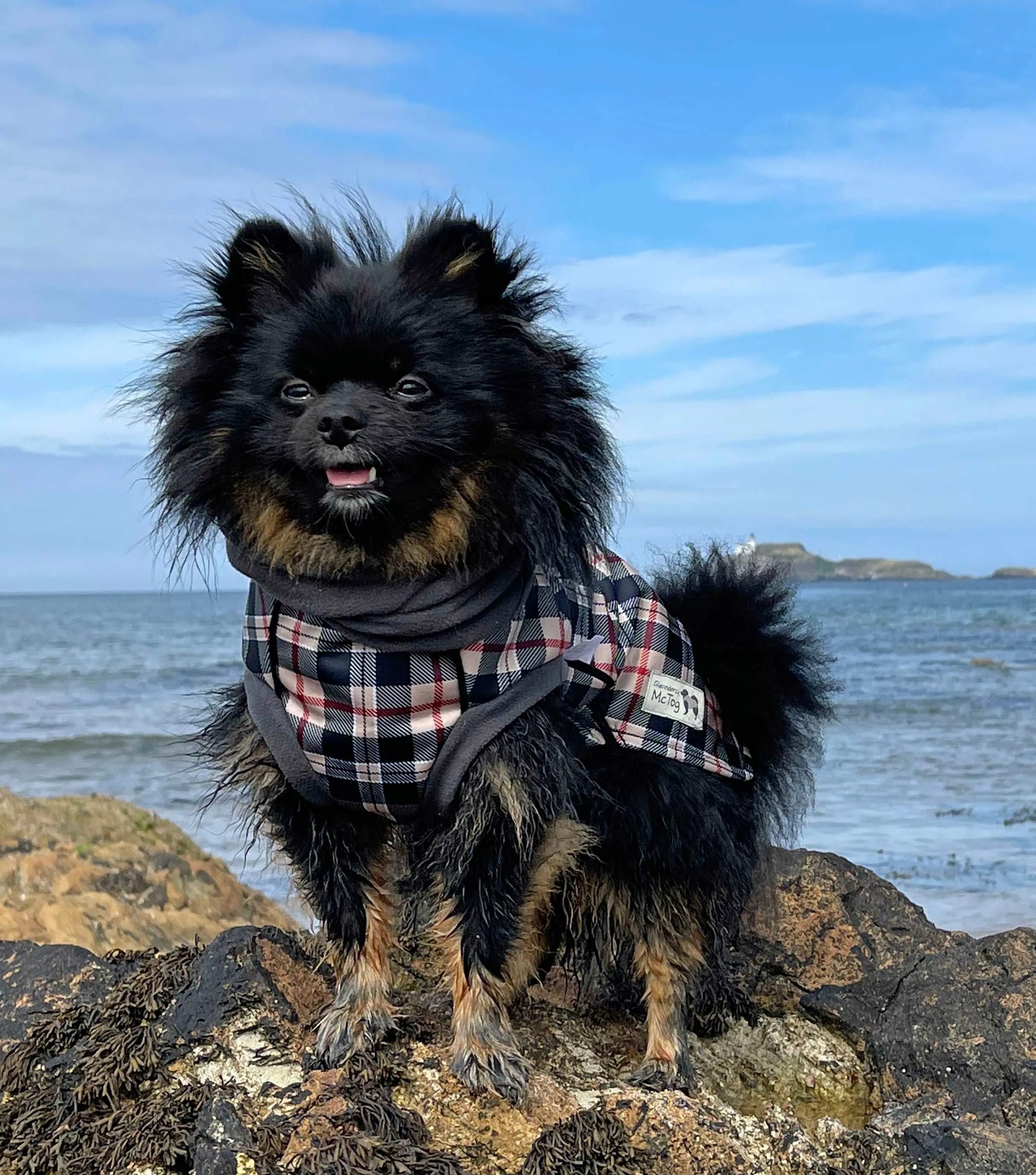 Harris Tartan Waterproof Microfleece McTog Dog Jumper