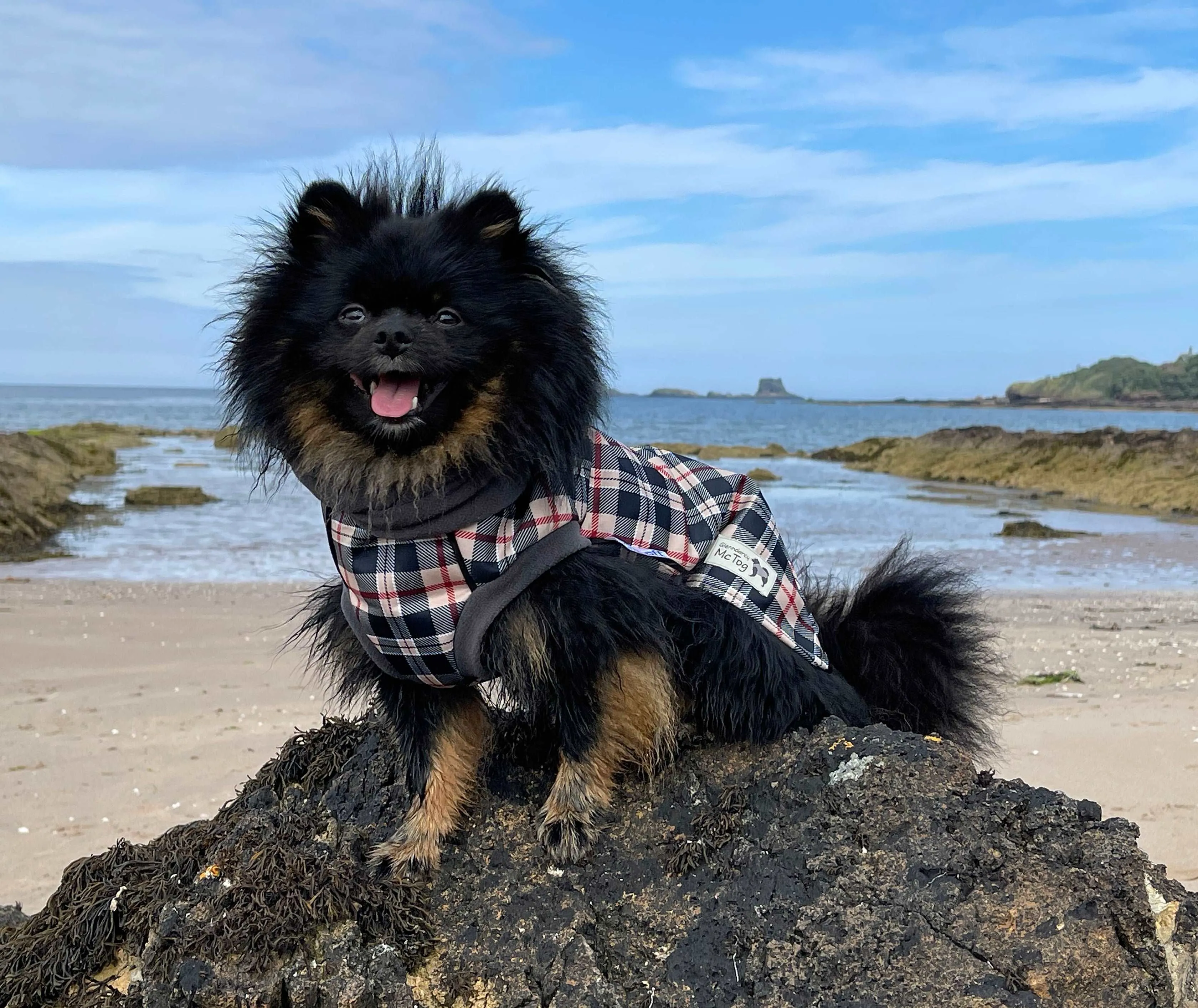 Harris Tartan Waterproof Microfleece McTog Dog Jumper