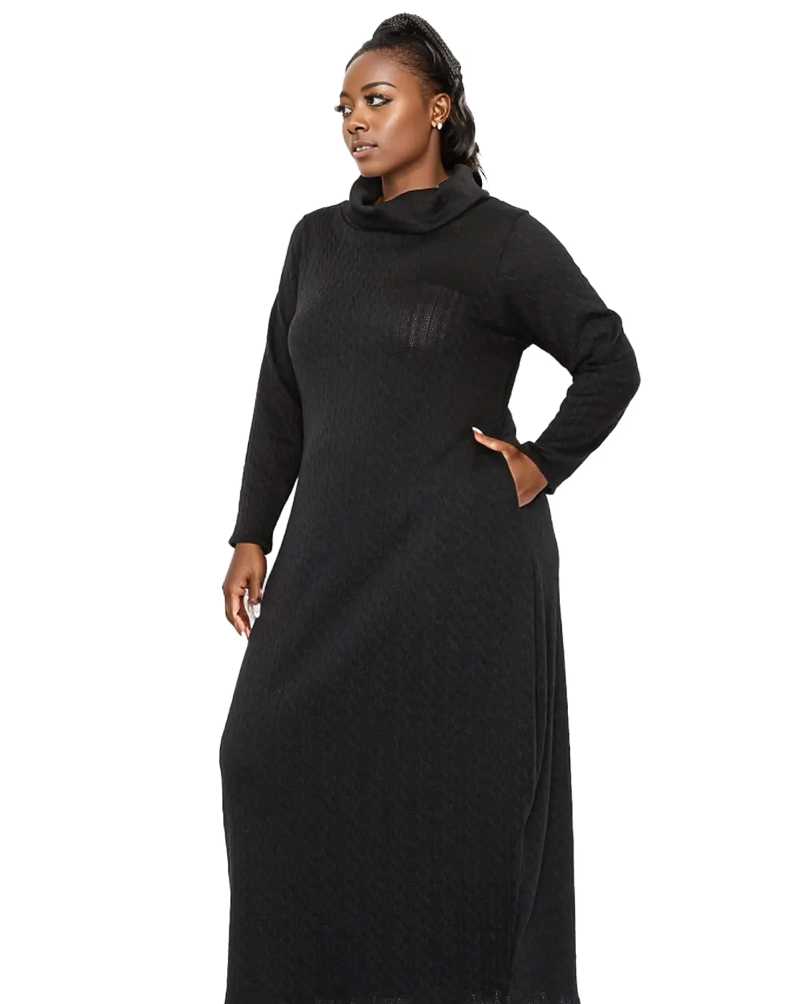 Lana Cowl Turtle Neck Pocket Sweater Dress | Black