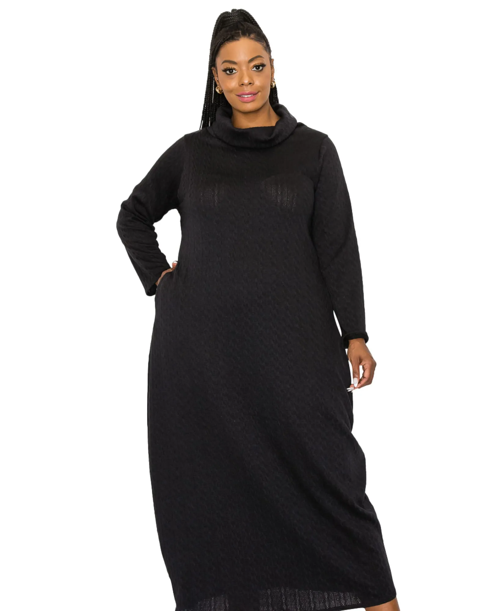 Lana Cowl Turtle Neck Pocket Sweater Dress | Black