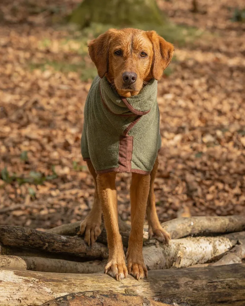 Ruff & Tumble Country Dog Drying Coat